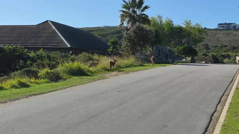 0 Bedroom Property for Sale in Num Num Cape Estate Western Cape